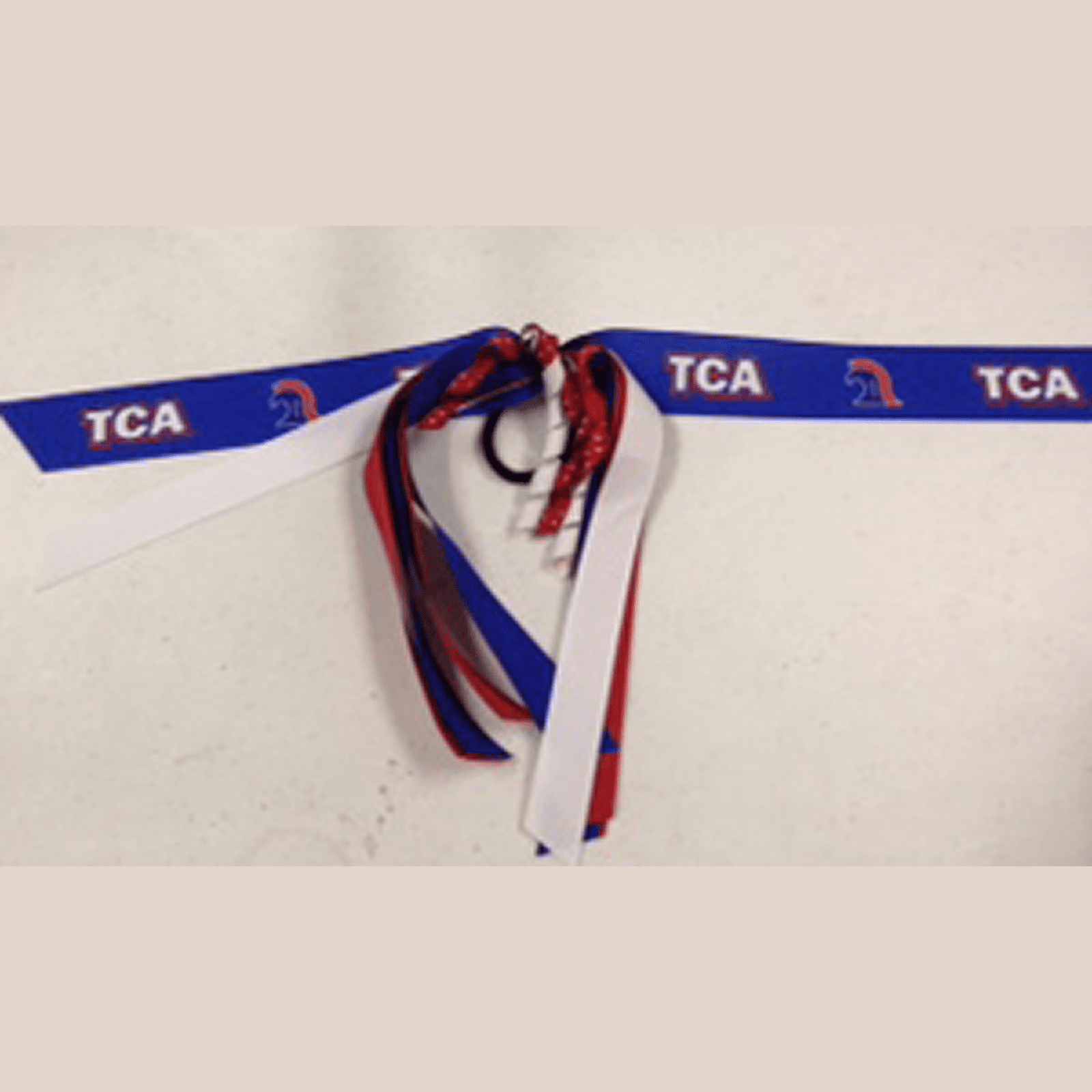 TCA logo ribbons on a white background