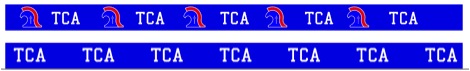 custom-hairties3