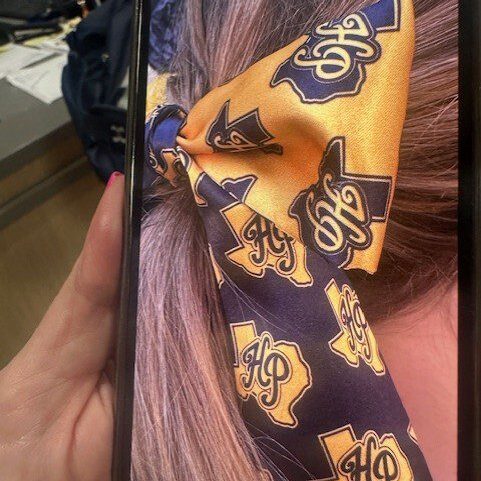 6a0f16e3558c0_twilliesexamplehair